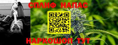 МДПВ Донецк
