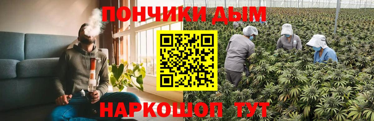 Конопля сатива  Вход с VPN  Бошки Шишки Bruce Banner  Бошки Шишки SATIVA & INDICA  Мирный 